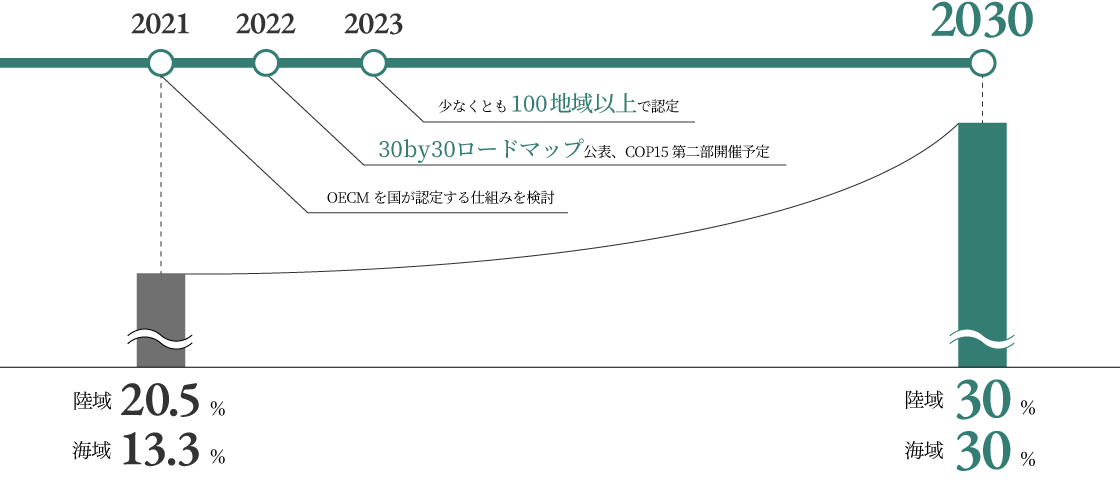 20220523_ueda_04.png
