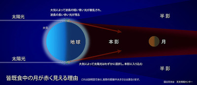 20150401_tani09.jpgのサムネイル画像