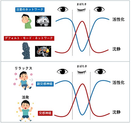 その１ 瞬きから探る 脳 心 社会 科学コミュニケーターブログ