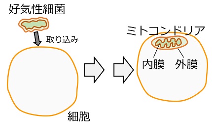 20181220_tanakas_02.jpg