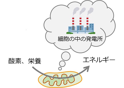 20181220_tanakas_04.jpg