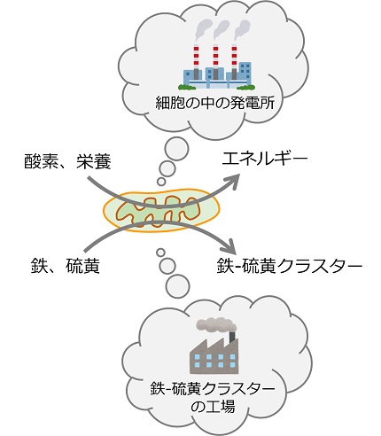 20181220_tanakas_05.jpg